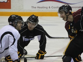 Nick Latta, in white, stretches with teammates at practice on Oct. 9, 2013. 9SHAUN BISSON/ THE OBSERVER/ QMI AGENCY