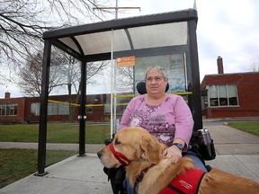 Kingston accessibility advocate Louise Bark at a Kingston Transit bus shelter with her service dog Bruce  in front of the Seniors Centre on Francis Street in Kingston  on Monday.
IAN MACALPINE/KINGSTON WHIG-STANDARD/QMI AGENCY