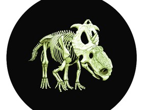 The Royal Canadian Mint's 2012 25-cent glow-in-the-dark Prehistoric Animals - Pachyrhinosaurus Lakustai collector coin, has been named most innovative coin by Krause Publications' 2014 Coin of the Year Awards. It is seen here as it appears in the dark. (Royal Canadian Mint/Handout/QMI AGENCY)