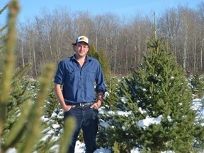 Lucas Nugteren stands in the midst of a row of Christmas trees. The family recently purchased Tree Lane Farms in Ilderton.