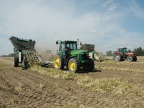 Farmers harvest a field of beans in this file photo. The region has suffered a below-average year for edible beans but soybeans and grain corn have been better. Edible beans are sold mainly for human consumption and sold dry or in products like canned pork and beans. (Times-Journal)