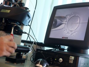 A doctor injects sperm directly into an egg during an in-vitro fertilization (IVF) procedure.
REUTERS/Kacper Pempel