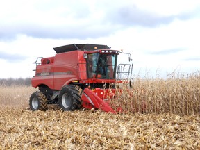 Friends and neihgbours pitched in to help the McIntyre family harvest their corn in West Elgin Saturday. The community realized the family needed help when the owner of the farm, Larry McIntyre died earlier this fall.