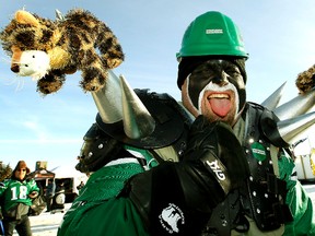 A fan from Saskatoon is all decked out in Roughriders green as he heads into Mosaic Stadium. It was hard to find any Ticats black at gold in the stands. (Al Charest/QMI Agency)