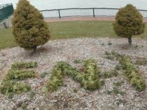 Windsor, Ont., parks workers have cleared this small garden in the Windsor Sculpture Park after someone used green garland to spell out the word penis in November 2013. The impromptu garland artwork comes after someone shaped a bush in the sculpture park to look like a penis in October. (Photo: Spotted in Windsor/Facebook/QMI AGENCY)
