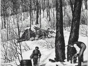 The image “Making Maple Sugar,” by artist Eugene Haberer appeared in the March 20, 1875 issue, of Canadian Illustrated News.
Library and Archives Canada