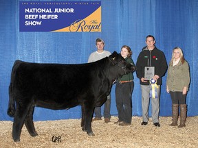 Seven members from Huron County Beef Clubs participated at the Royal Agricultural Winter Fair (RAWF) in the steer and heifer shows recently.