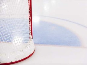 hockey net