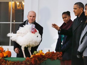 U.S. President Barack Obama joins his daughters Sasha and Malia as they pardon National Thanksgiving Turkey "Popcorn", on the 66th anniversary of the ceremony, on the North Portico of the White House in Washington.
REUTERS/Larry Downing/QMI Agency
