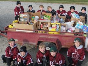 novice hockey food drive