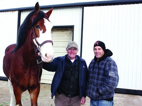 Cedarlane Royal, Jerry and Ron Wismer