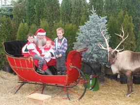 Glasshouse Santa and reindeer