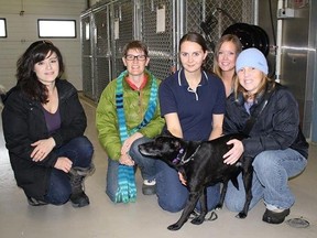 Sydney got a warm welcome at the Parkland Animal Shelter. Bottom Left: R.J. and Ron Stoley kept Sydney safe in Entwistle. - Photos Supplied