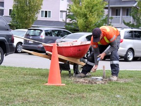 Instructed by the Ministry of Environment, workers test soil in the plaza at Murphy and Michigan where traces of the contaminant TCE (tetrachloroethylene) have been discovered. (File photo)