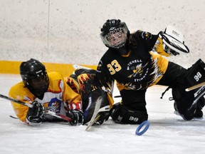 Mitchell U14A goalie Danica Hanson happens to be down during this scramble with Waterloo, but she still managed to make the stop and keep her eye on the ring during WORL action in Mitchell last Thursday, Dec. 5. The Stingers won 6-2. ANDY BADER/MITCHELL ADVOCATE