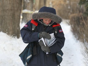 A letter carrier for Canada Post makes deliveries in Crescentwood earlier this winter. (Kevin King/Winnipeg Sun)