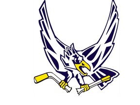 Canmore Eagles logo 2013