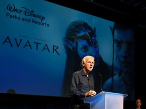 20th Century Fox and Lightstorm Entertainment will make the next three movies in the science fiction "Avatar" series in New Zealand, September 20, 2011, file photo. (REUTERS/Fred Prouser)