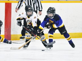 Jordan Visneskie (10) of the Mitchell Tyke 1 team battles this BCH opponent for the puck at the BCH blueline during their game last Sunday, Dec. 15. The Meteors won, 4-1. ANDY BADER/MITCHELL ADVOCATE