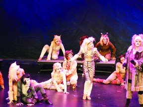 The Tony Award-winning musical Cats. Daniele Alcinii/Sherwood Park News