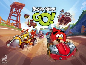 "Angry Birds Go!" (Supplied)