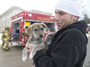 Hani El-Shourafa holds Bailey, a 10-week-old shepherd-husky mix, who was rescued by firefighters from a three-storey apartment building on Westlake St. in London on Thursday. Firefighters rescued some residents using ladders after heavy smoke trapped them in third-floor units. No one was injured. CRAIG GLOVER/The London Free Press/QMI Agency