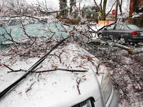 A downed powerline runs over a parked vehicle after ice covered tree branches came down after freezing rain in Toronto December 22, 2013. (REUTERS/Hyungwon Kang)