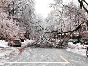 A vehicle tries to drive over a sidewalk to avoid an ice-covered tree branch that came down after freezing rain in Toronto, Dec. 22, 2013. Thousands of households are without power in the Greater Toronto area following an overnight ice storm.  (REUTERS/Hyungwon Kang)