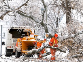 Belleville Public Works staff were kept busy Monday, Dec. 23, 2013 working to clean up fallen limbs, like here on the Bayshore Trail, and other debris around the city after the weekend ice storm.  - EMILY MOUNTNEY/THE INTELLLIGENCER/QMI AGENCY