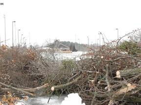 A pile of tree limbs and other brush sits in the parking lot at the Jaycee Sports Park located at the northeast corner of Wayne Gretzky Parkway and Dunsdon Street in Brantford. Manitoba Hydro linesmen will spend Christmas helping the region recover from a devastating ice storm. (HUGO RODRIGUES/QMI AGENCY)