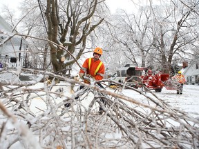 Brendan Allen of AbreCare Tree Service cleans up a downed tree branch on Baiden Street in Portsmouth Village Sunday morning. (Elliot Ferguson/The Whig-Standard)