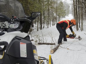 Scott Buckley, president of the Lennox and Addington Ridge Runners snowmobile club, was among the volunteers who spent three days and more than 100 hours clearing debris and trees that had fallen along the local snowmobile trails due to the recent ice storm. Julia McKay The Whig-Standard