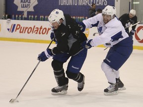Leafs captain Dion Phaneuf (left) is checked during a one-on-one drill with Phil Kessel during practice Friday, January 3, 2014. (Jack Boland/Toronto Sun)