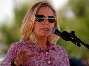 U.S. Senate candidate Liz Cheney speaks to voters during a Republican and Tea Party gathering in Emblem, Wyoming August 24, 2013.  REUTERS/Ruffin Prevost