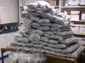 On Jan. 3, 2014, police officers pulled over a semi-trailer travelling through the Steinbach area, headed to eastern Canada, and seized 114 pounds of marijuana. (HANDOUT)