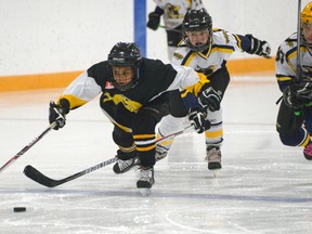 CHRIS ABBOTT/TILLSONBURG NEWS
Langton Long's Lumber atom Joshua King attacks the Plattsville zone Saturday afternoon during the Joe Callens Memorial Hockey Tournament in Langton. Three divisions -- novice, atom and peewee -- played in the three-day tourney.