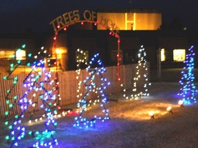 Trees of hope lighting up the season at the Pincher Creek Health Centre. Submitted photo.