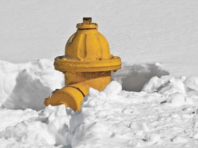 Fire hydrant snow