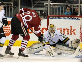 The Knights will attempt a Memorial Cup run with Anthony Stolarz as the No. 1 guy (QMI Agency file photo)