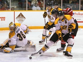 Sarnia Sting's goalie Brodie Barrick looks back as his defenceman Anthony DeAngelo clears a rebound away from Owen Sound Attack's captain Zach Nastasiuk and a wide open net  during first period OHL action in Owen Sound on Saturday, January 11th, 2014. Barrick made 39 saves on 42 shots in a 6-3 Sarnia victory. (The Sun Times/JAMES MASTERS/QMI Agency).