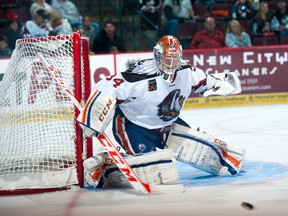 After struggling for more than a season in the ECHL, Tyler Bunz says the arrival of Laurent Brossoit has helped him to find his game. (Bakersfield Condors)