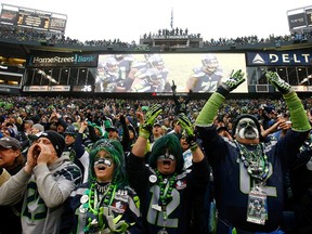 Seahawks fans cheer against the Cardinals during NFL action on Sunday, Dec. 22, 2013. (Jonathan Ferrey/Getty Images/AFP)
