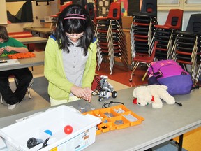 Cheryl Li, works on building a robot through one of the six Lego Mindstorm kits during Percy Baxter School's Robotics Club on Wednesday, Jan. 8.
Barry Kerton | Whitecourt Star