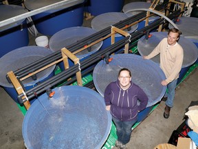 Aquatarium aquarists Jennipher Carter and Thomas Harder stand near tanks holding several species of fish being housed temporarily at a warehouse.