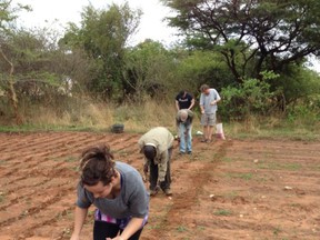 Members of Enactus Lambton and South West Ag worked alongside local farmers to plant 350 acres of corn in rural Zambia this December. In total, the group planted 11.2 million seeds by hand in six weeks. (Submitted photo)