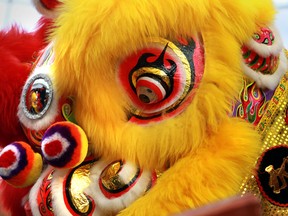 Lion dancers from Ji Hong College perform during Chinese New Year celebrations at West Edmonton Mall in Edmonton, AB., on Sunday, Jan 19, 2014.  Perry Mah/Edmonton Sun/ QMI Agency