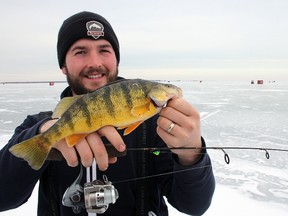 ice fish perch