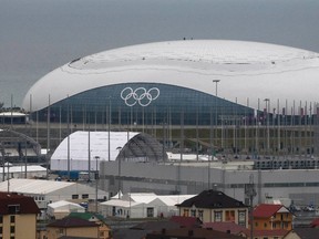 A general view of Bolshoy Ice Dome is seen in the Olympic Park at the Adler district of Sochi January 20, 2014. (REUTERS/Alexander Demianchuk)