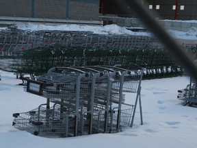 There are currently about 1,000 shopping carts being stored at the Conroy Rd. City of Ottawa yard. One local contractor is complaining that he can't get the carts back — after paying the nearly $60 fine — because staff have allowed them to become frozen to the ground.
DOUG HEMPSTEAD/Ottawa Sun