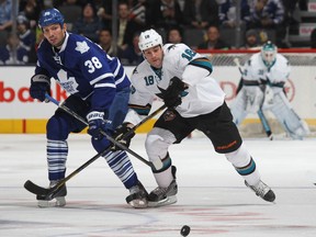 Injured Maple Leafs forward Frazer McLaren could re-join the team by Friday in Winnipeg. (USA TODAY SPORTS/PHOTOS)